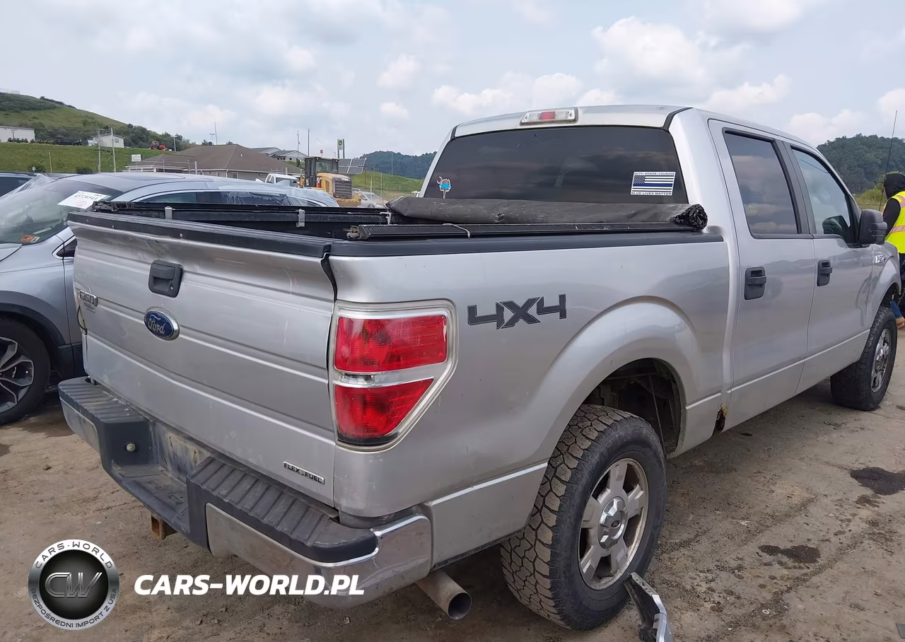2014 Ford F-150 Xlt VIN:1FTFW1EF5EFA31714 - 4