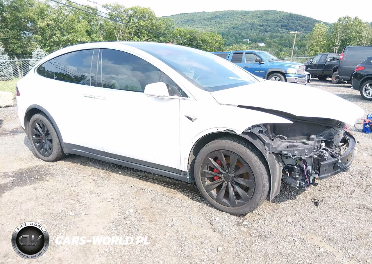 2017 Tesla Model X 100D-75D-90D