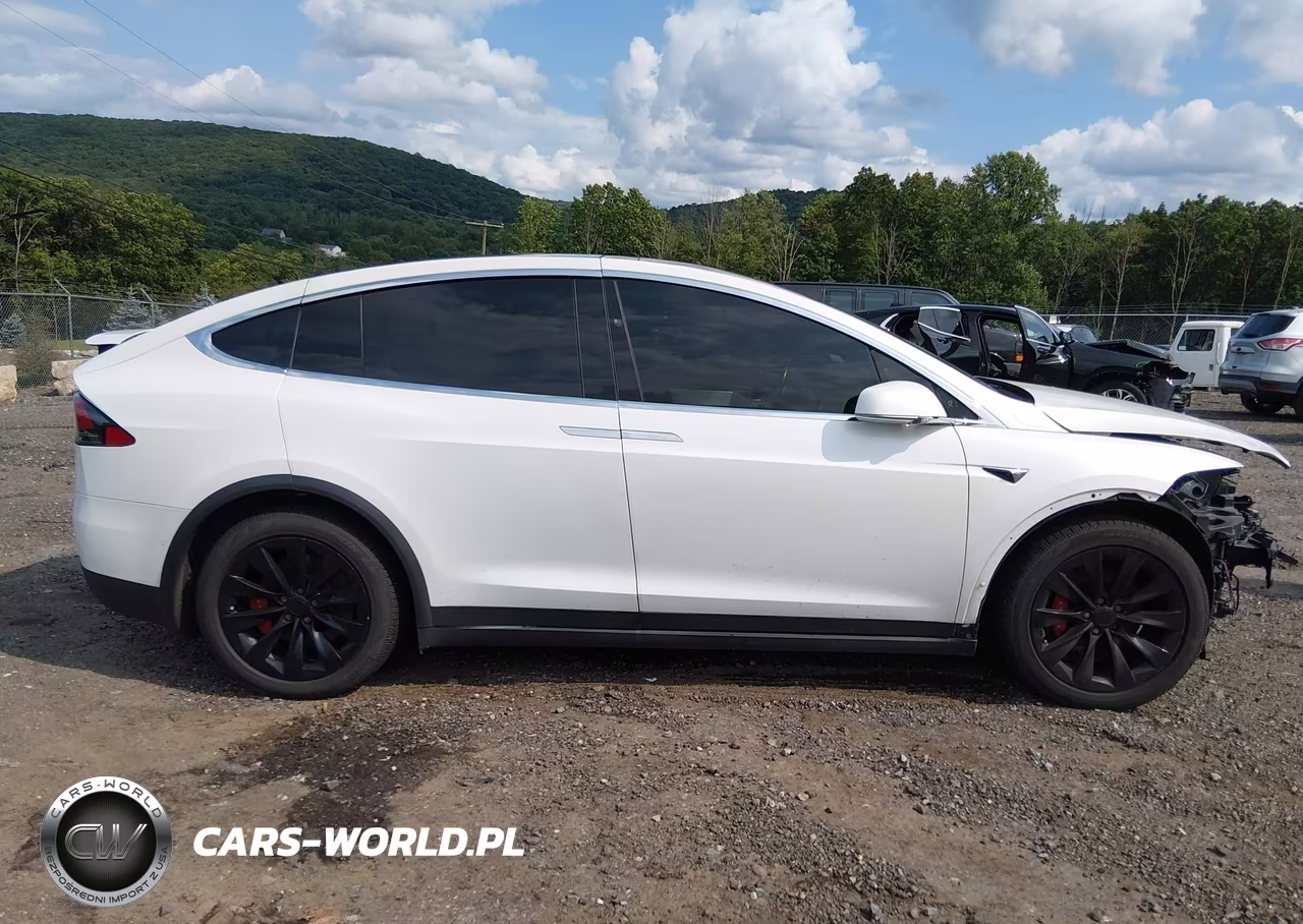 2017 Tesla Model X 100D-75D-90D VIN:5YJXCBE27HF066196 - 12