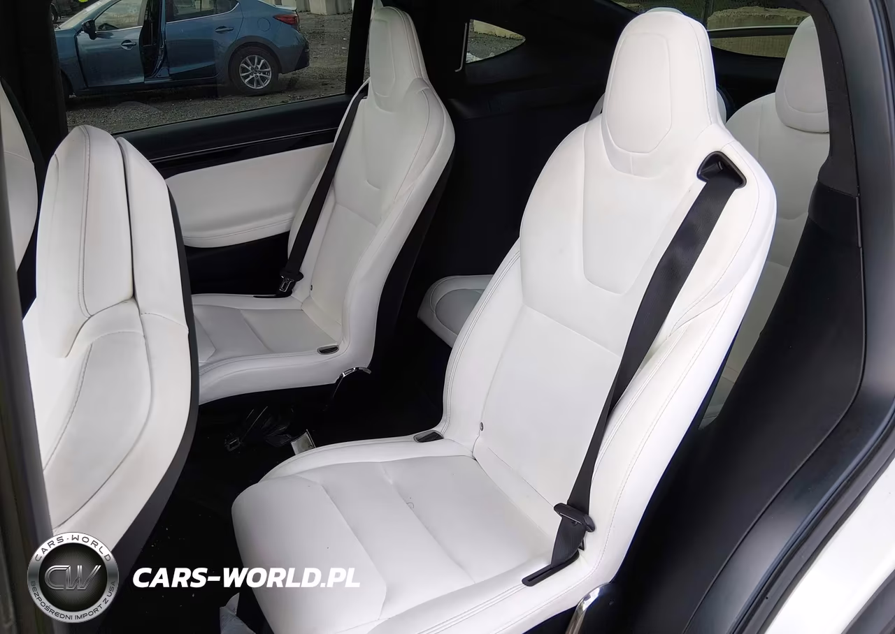 2017 Tesla Model X 100D-75D-90D VIN:5YJXCBE27HF066196 - 8