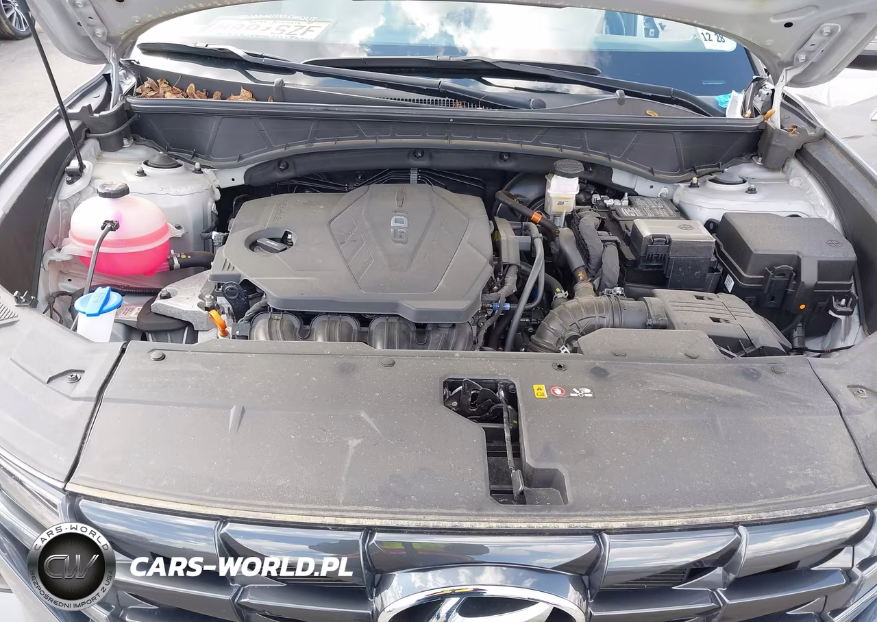2024 Hyundai Tucson Sel VIN:5NMJFCDE6RH343063 - 10