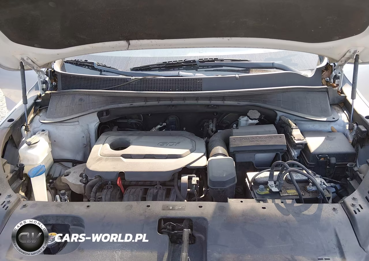 2019 Kia Sorento 2.4L Lx VIN:5XYPG4A30KG433017 - 10