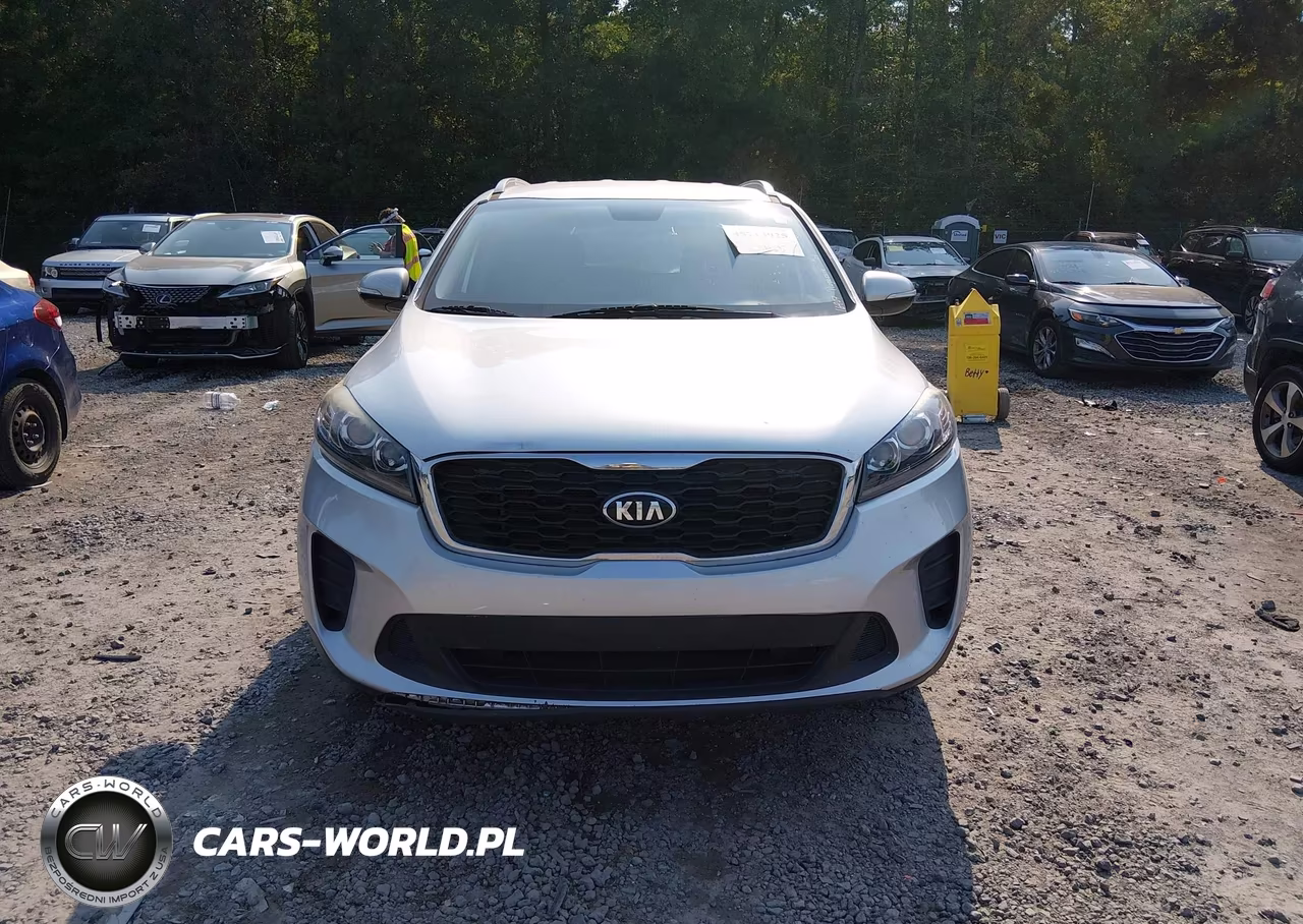 2019 Kia Sorento 2.4L Lx VIN:5XYPG4A30KG433017 - 13