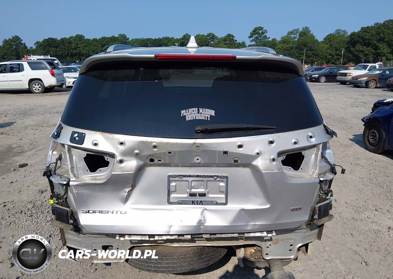 2019 Kia Sorento 2.4L Lx VIN:5XYPG4A30KG433017 - 17