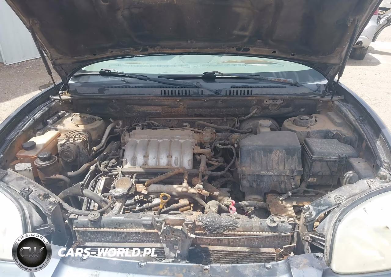 2003 Hyundai Santa Fe Gls-Lx VIN:KM8SC13E63U538529 - 10