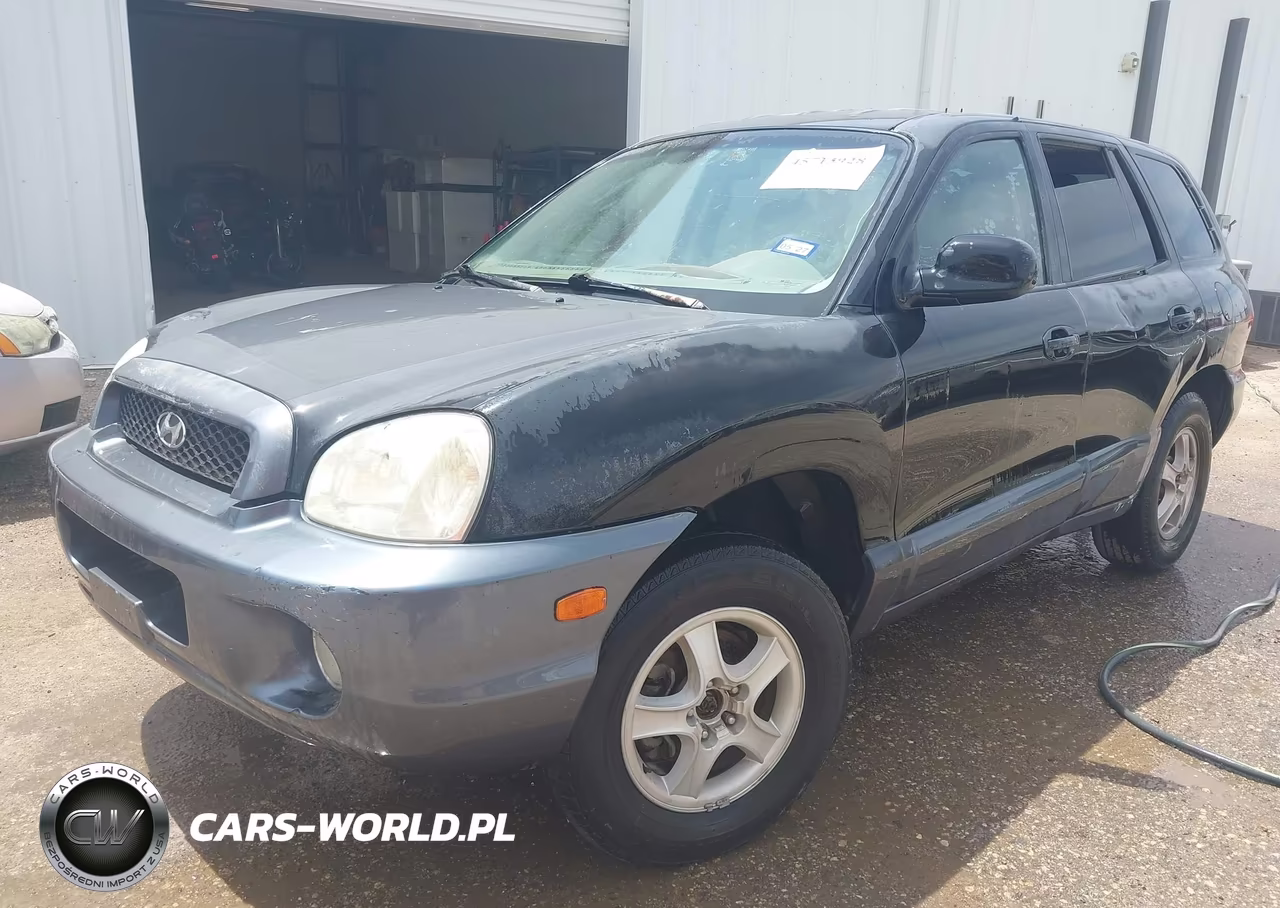 2003 Hyundai Santa Fe Gls-Lx VIN:KM8SC13E63U538529 - 2
