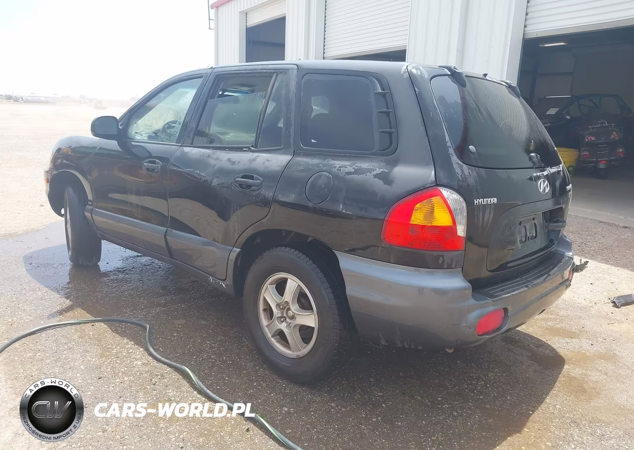 2003 Hyundai Santa Fe Gls-Lx VIN:KM8SC13E63U538529 - 3