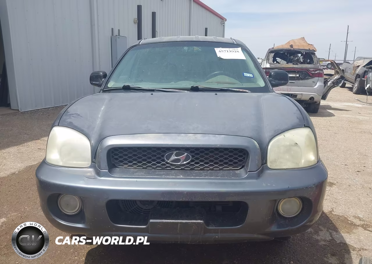 2003 Hyundai Santa Fe Gls-Lx VIN:KM8SC13E63U538529 - 6