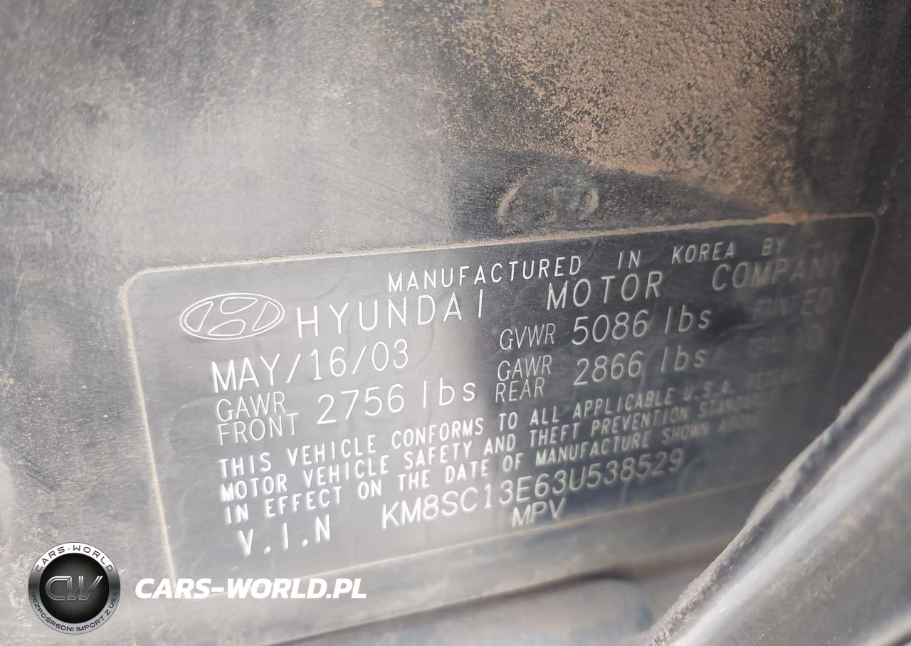 2003 Hyundai Santa Fe Gls-Lx VIN:KM8SC13E63U538529 - 9