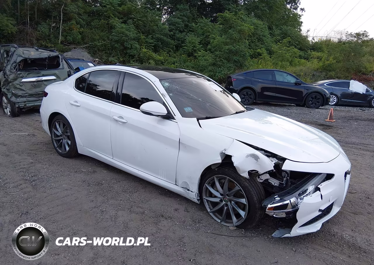 2020 Alfa Romeo Giulia Awd VIN:ZARFANAN8L7639341 - 1