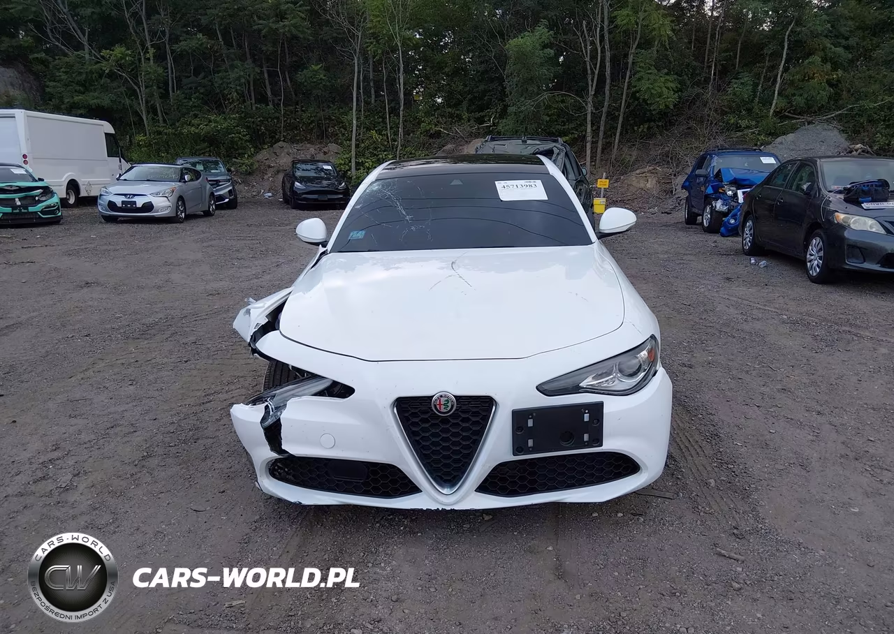 2020 Alfa Romeo Giulia Awd VIN:ZARFANAN8L7639341 - 12