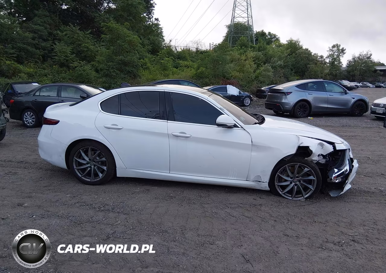 2020 Alfa Romeo Giulia Awd VIN:ZARFANAN8L7639341 - 13