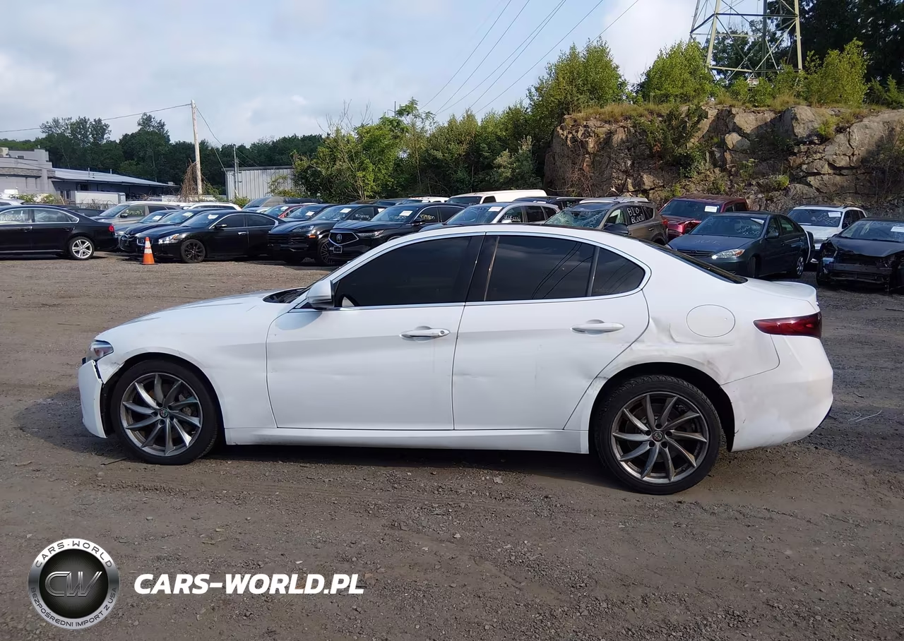 2020 Alfa Romeo Giulia Awd VIN:ZARFANAN8L7639341 - 14