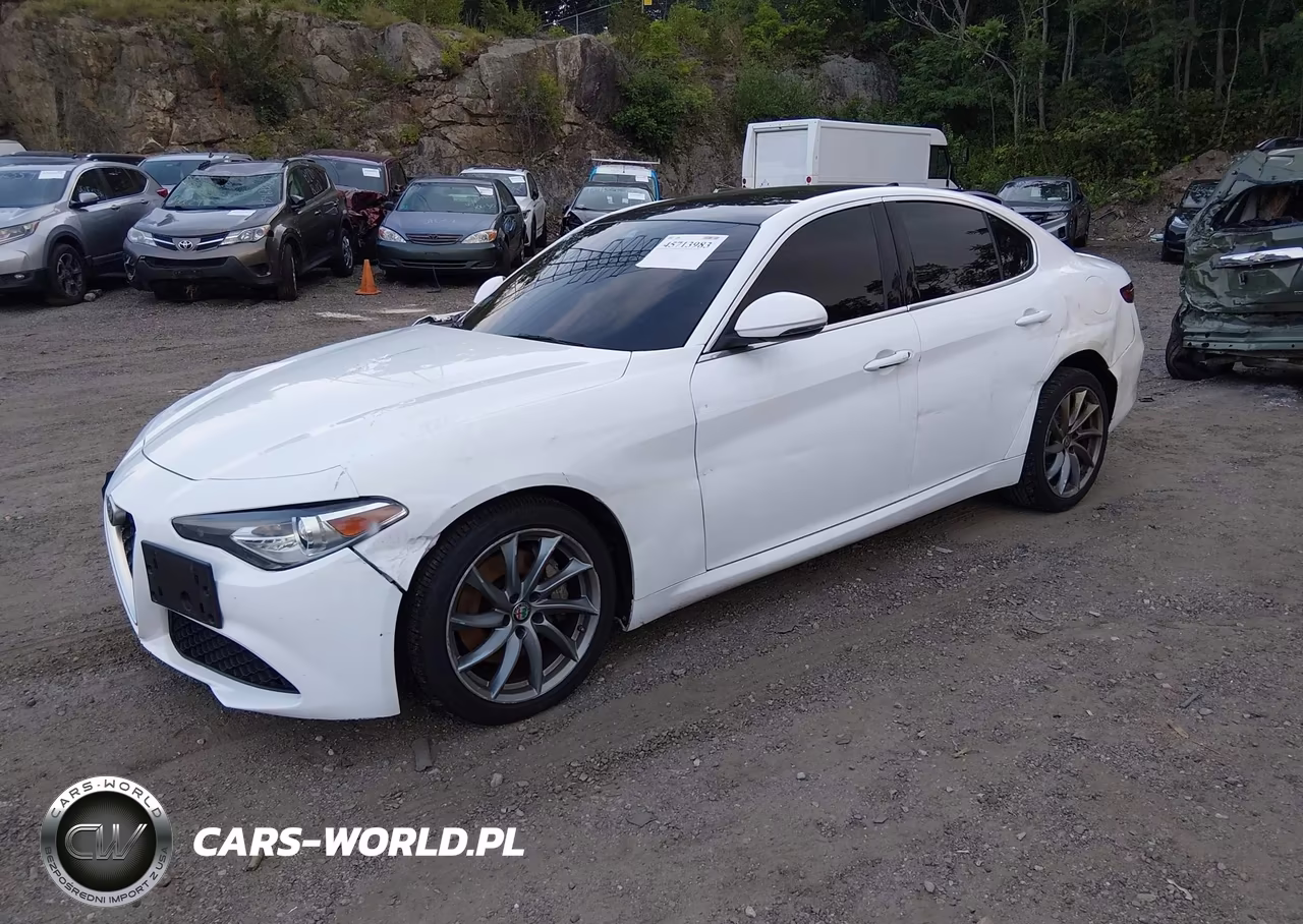 2020 Alfa Romeo Giulia Awd VIN:ZARFANAN8L7639341 - 2