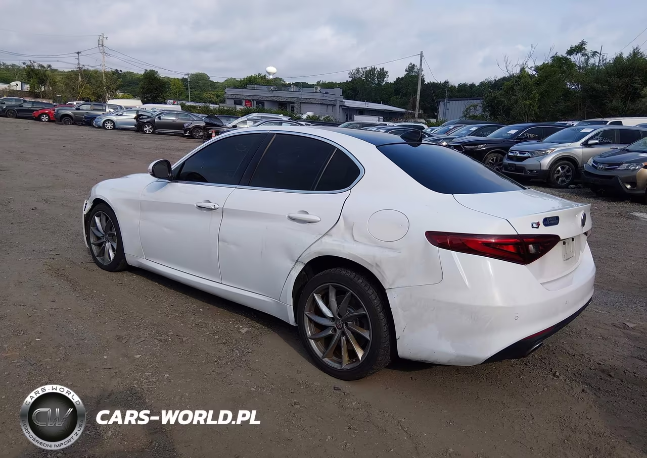 2020 Alfa Romeo Giulia Awd VIN:ZARFANAN8L7639341 - 3