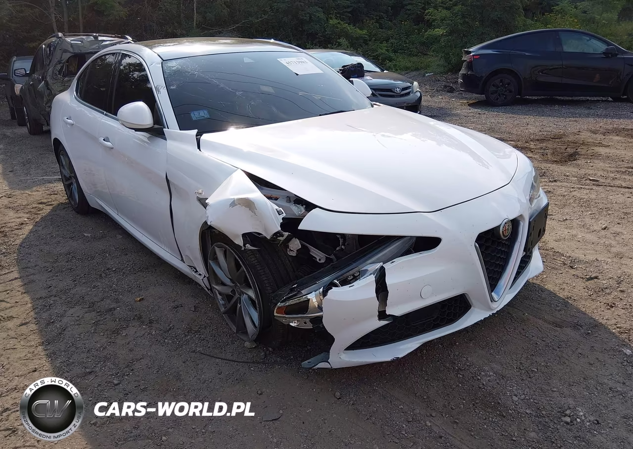 2020 Alfa Romeo Giulia Awd VIN:ZARFANAN8L7639341 - 6