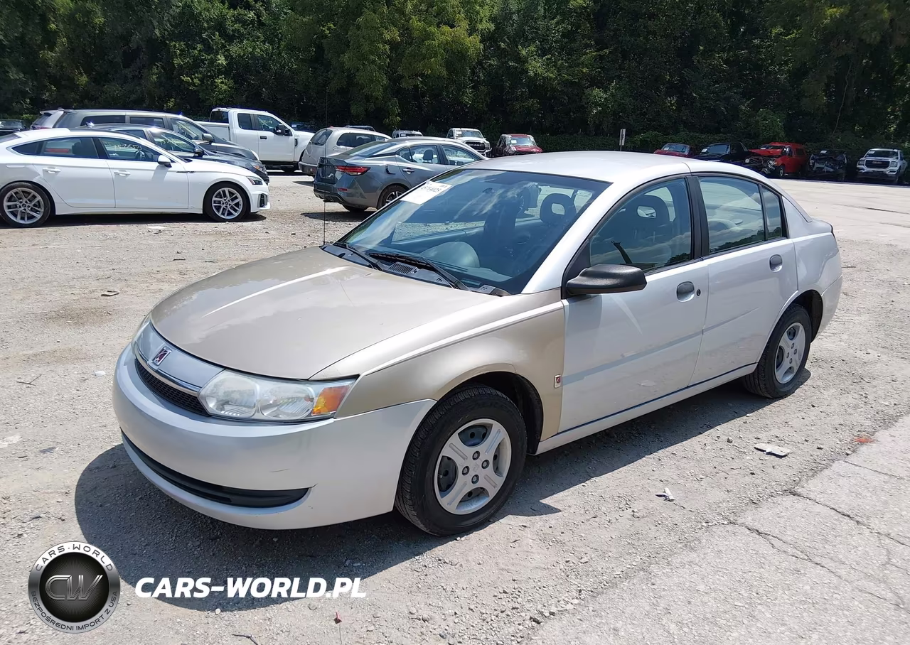2004 Saturn Ion Ion 1 VIN:1G8AG52F94Z200904 - 6