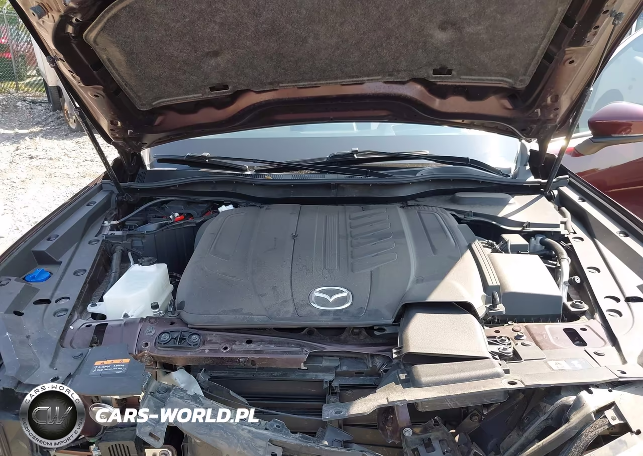 2024 Mazda Cx-90 3.3 Turbo Premium Plus VIN:JM3KKEHD4R1126223 - 10