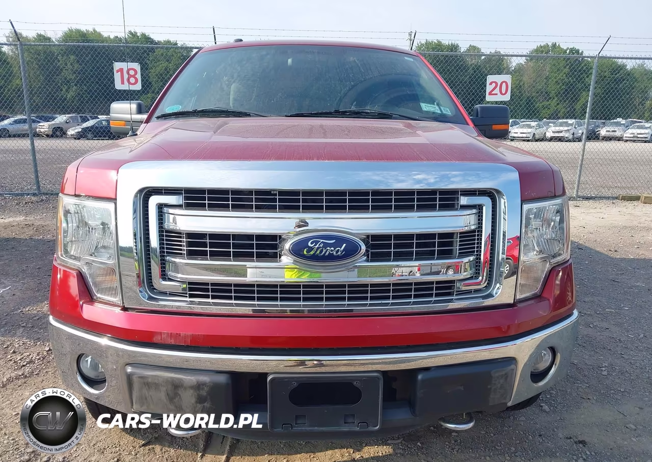 2014 Ford F-150 Xlt VIN:1FTEX1EM8EFA97844 - 12