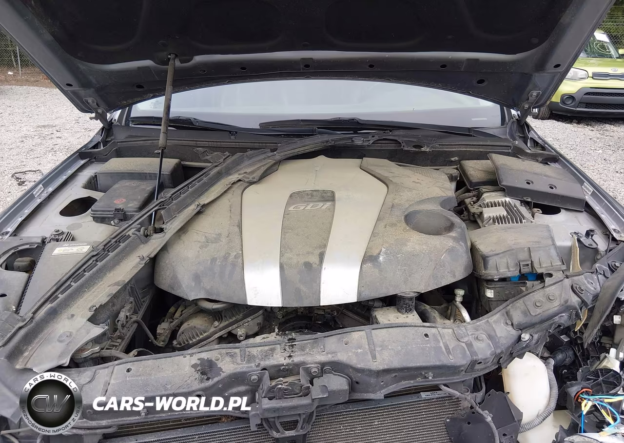 2014 Hyundai Genesis 3.8 VIN:KMHGC4DD1EU263670 - 10