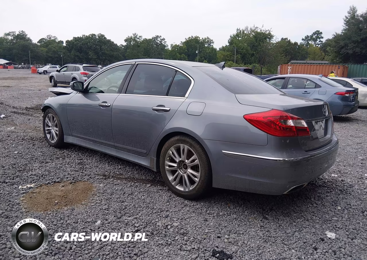 2014 Hyundai Genesis 3.8 VIN:KMHGC4DD1EU263670 - 3