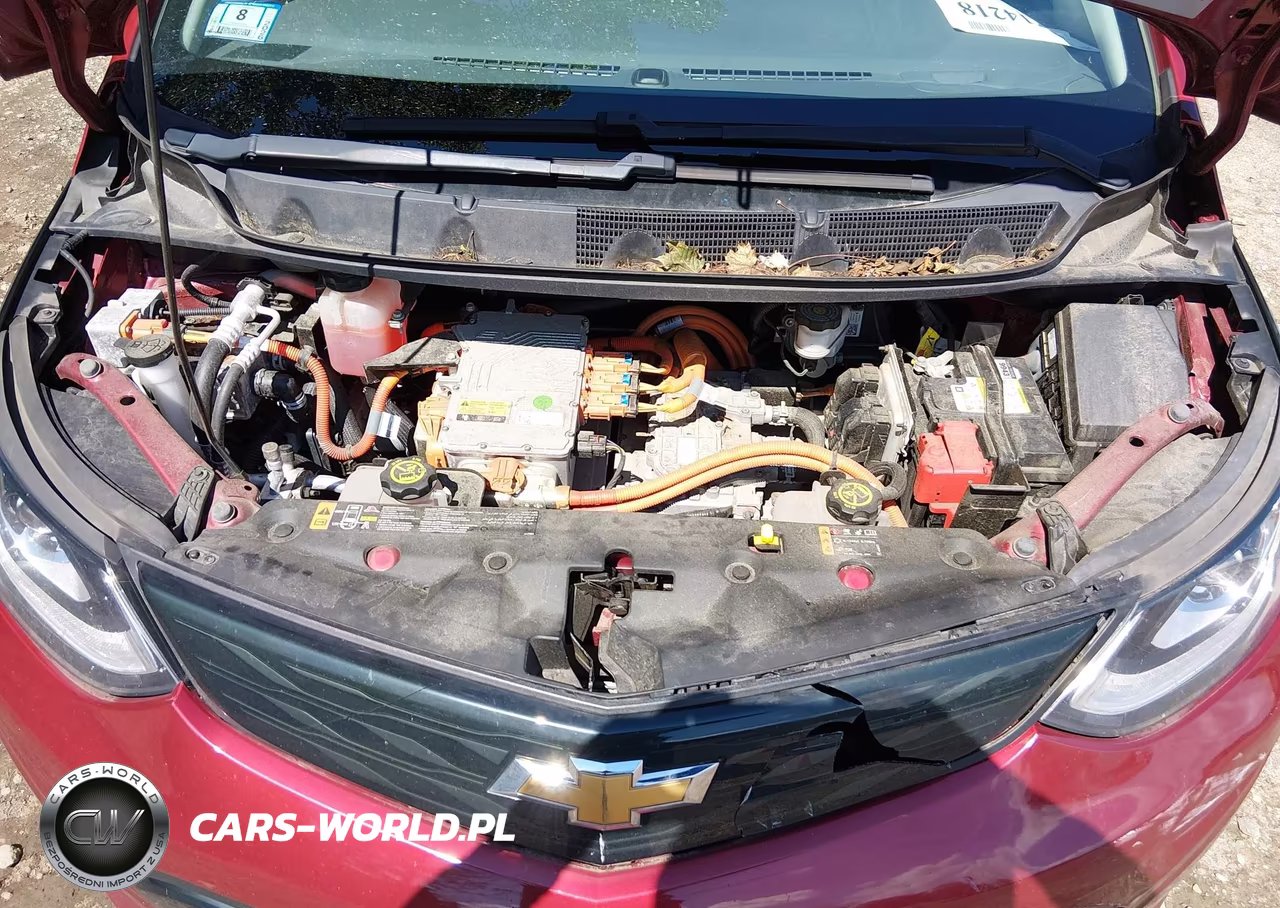 2019 Chevrolet Bolt Ev Lt VIN:1G1FY6S07K4109742 - 10