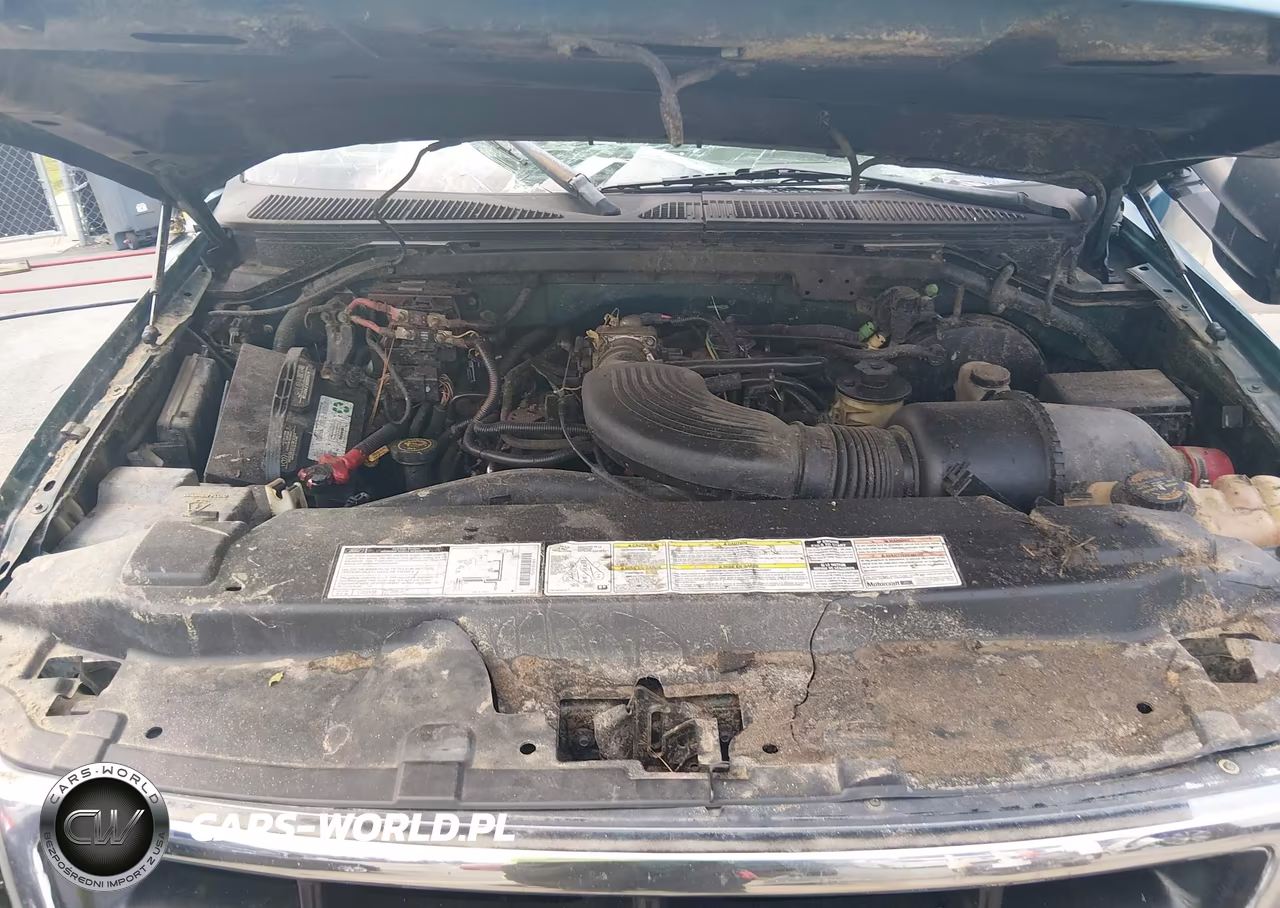 1998 Ford F-150 Lariat-Standard-Xl-Xlt VIN:1FTRX18L3WNB24170 - 10
