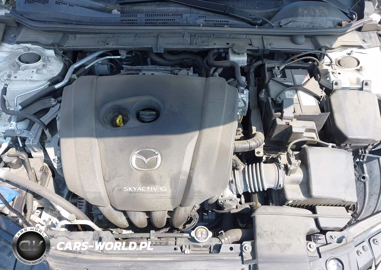 2019 Mazda Mazda3 Premium Package VIN:JM1BPANM3K1144287 - 10