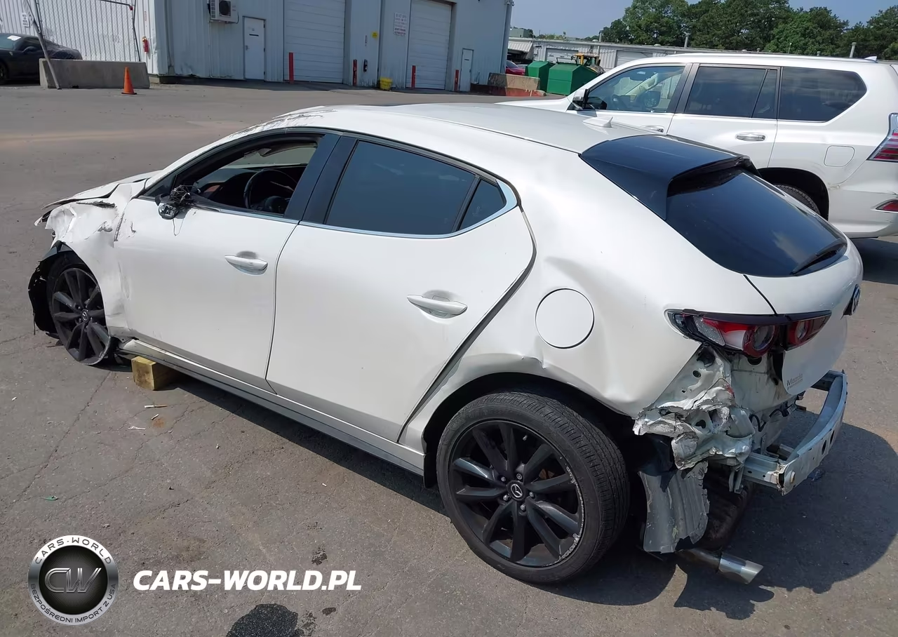 2019 Mazda Mazda3 Premium Package VIN:JM1BPANM3K1144287 - 3