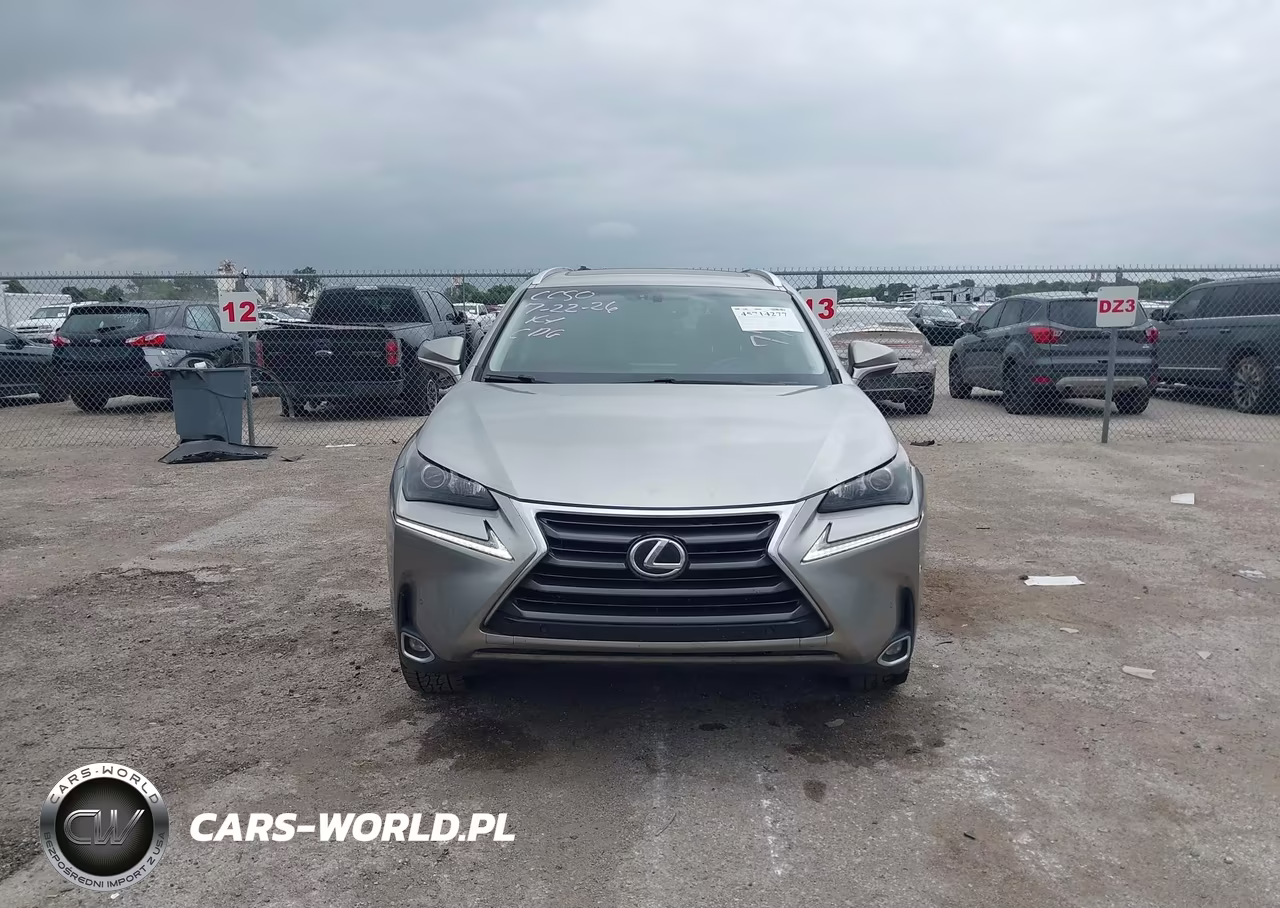 2015 Lexus Nx 200T VIN:JTJYARBZ7F2007781 - 12