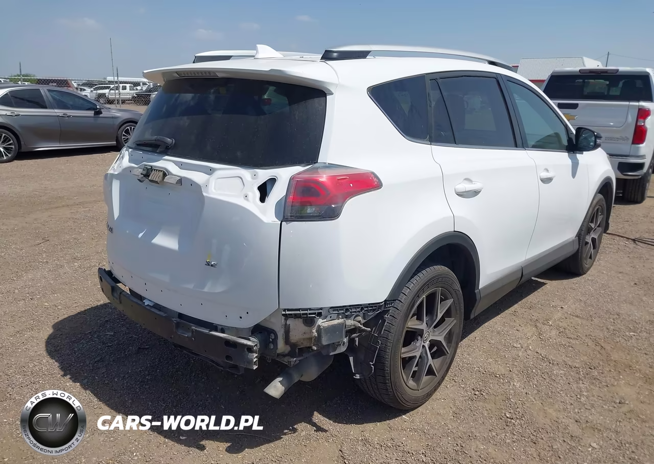 2016 Toyota Rav4 Se VIN:2T3NFREV5GW309000 - 4
