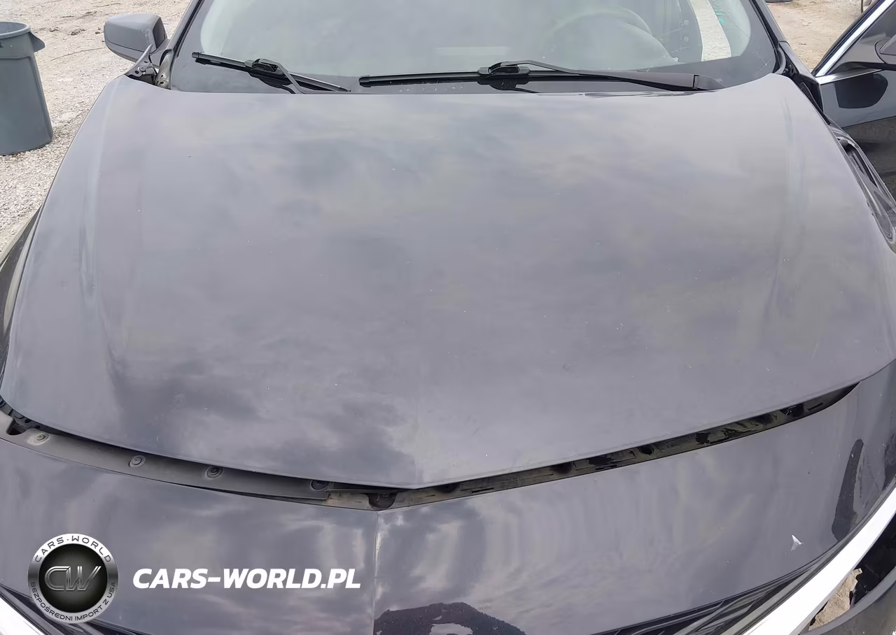 2023 Chevrolet Malibu Fwd 1Lt VIN:1G1ZD5ST4PF239258 - 10