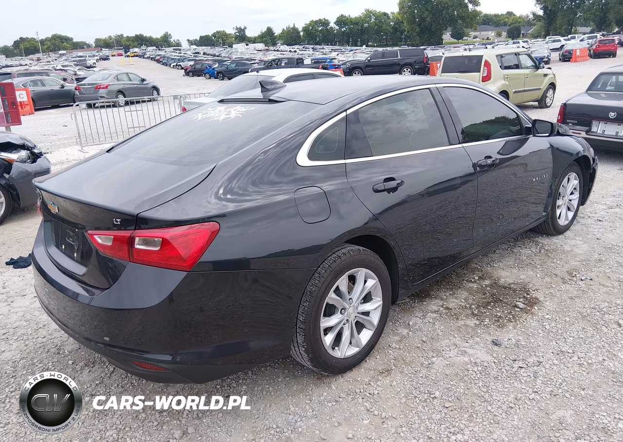 2023 Chevrolet Malibu Fwd 1Lt VIN:1G1ZD5ST4PF239258 - 4