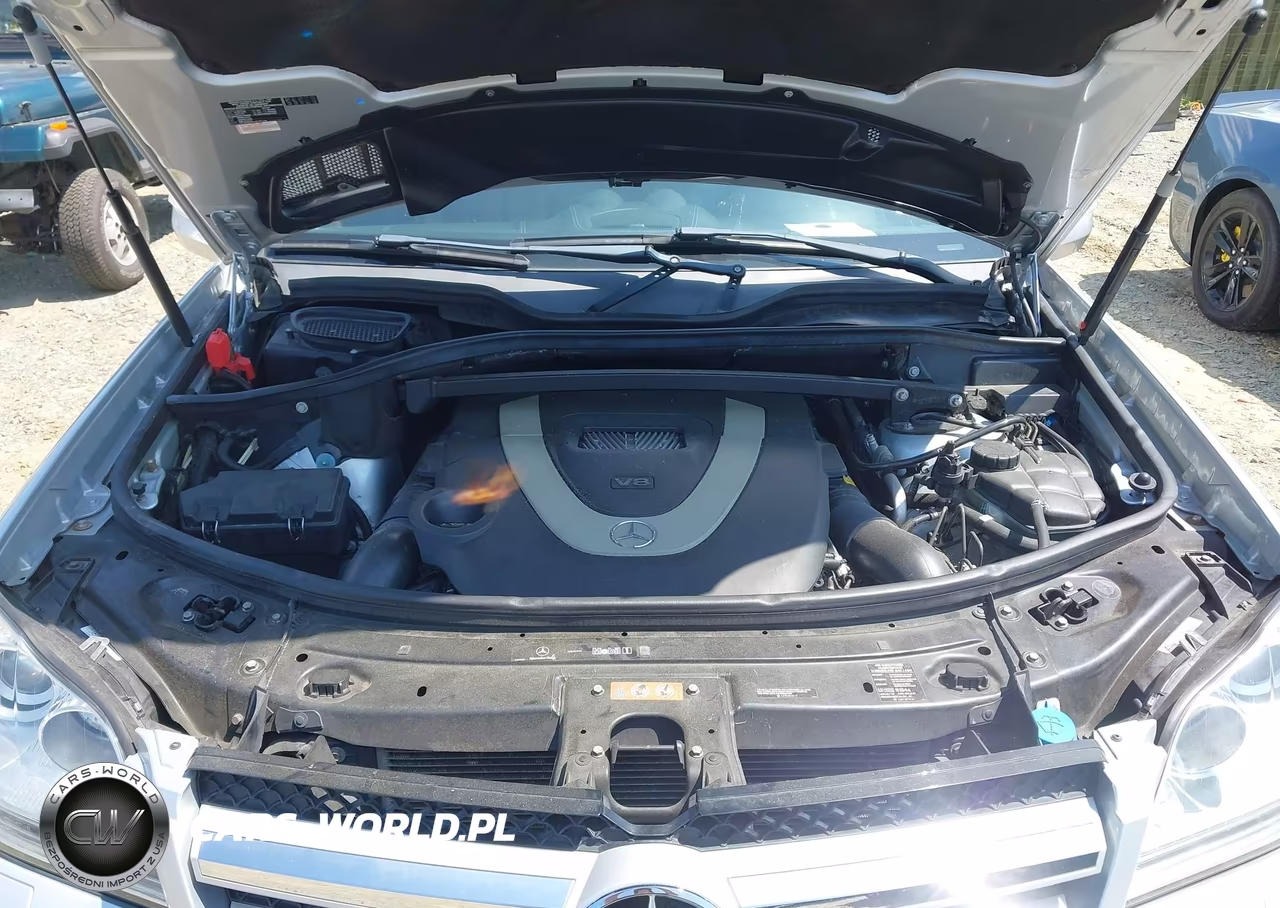 2010 Mercedes-Benz Gl 450 4Matic VIN:4JGBF7BE7AA591640 - 10