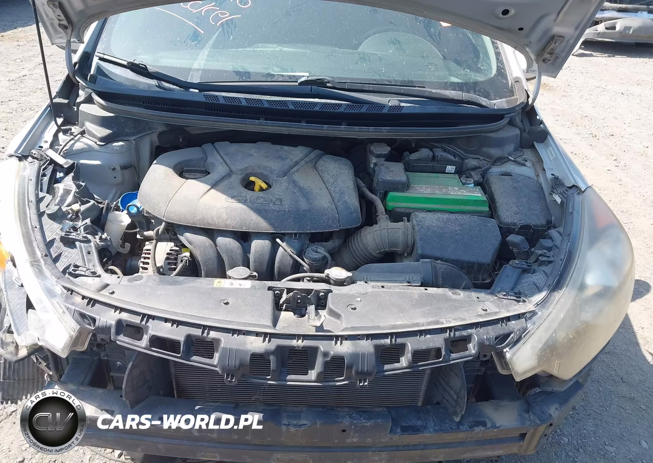 2015 Kia Forte Ex VIN:KNAFX4A86F5356110 - 10