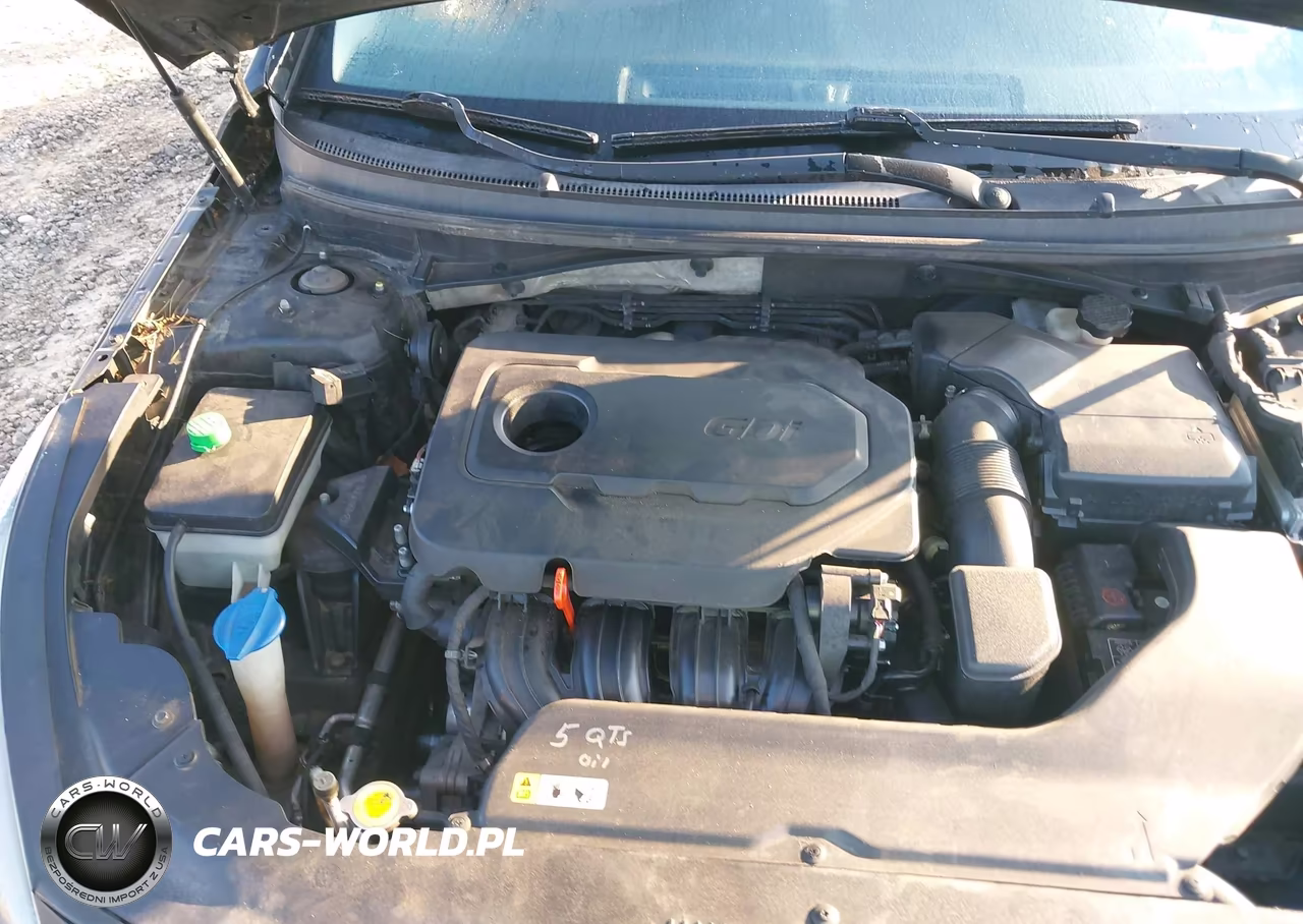2015 Hyundai Sonata Se VIN:5NPE24AF4FH239394 - 10