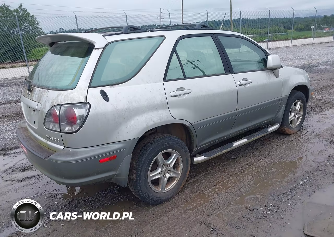 2003 Lexus Rx 300 VIN:JTJGF10U530159362 - 4