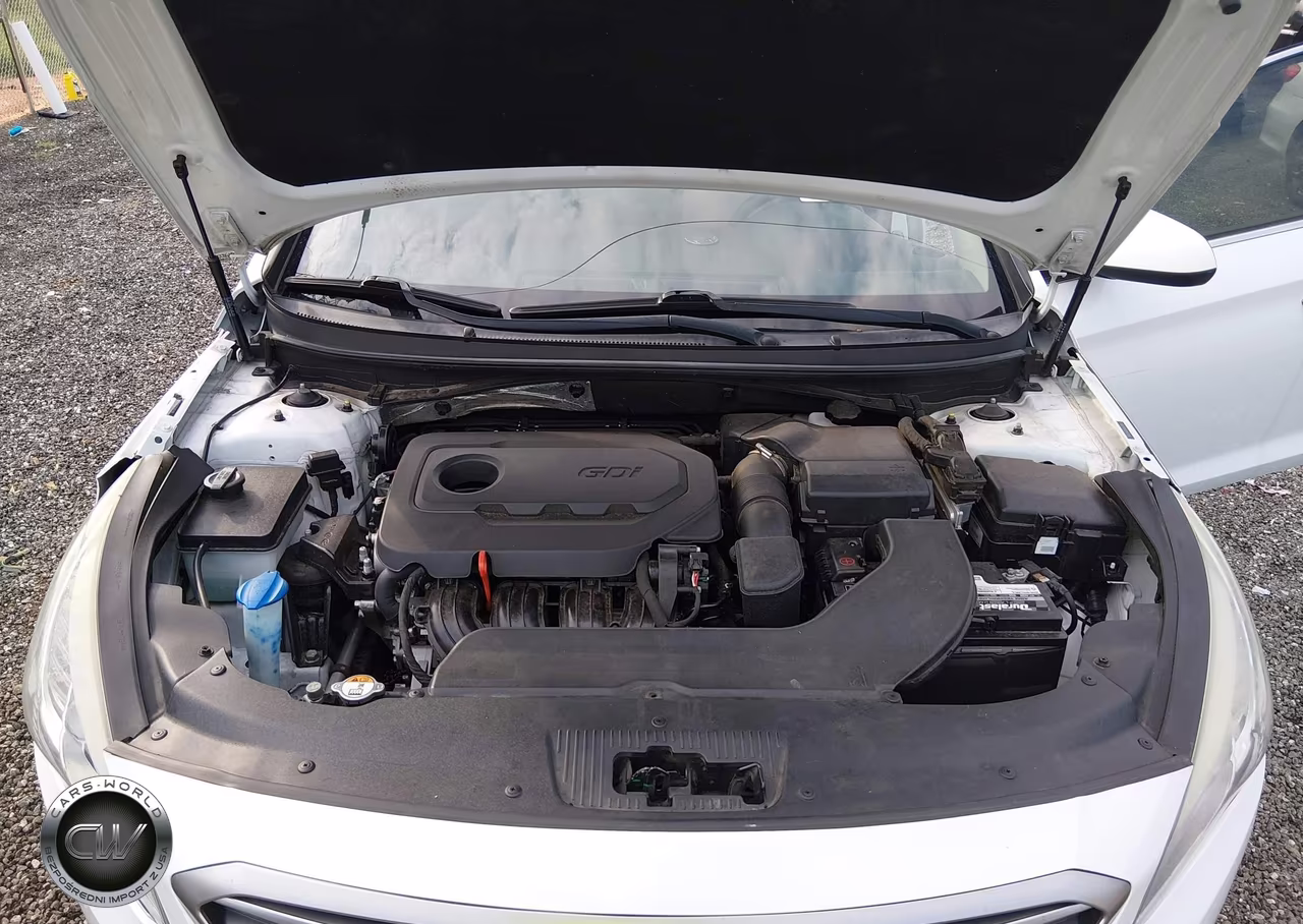 2015 Hyundai Sonata Se VIN:5NPE24AF0FH167318 - 10