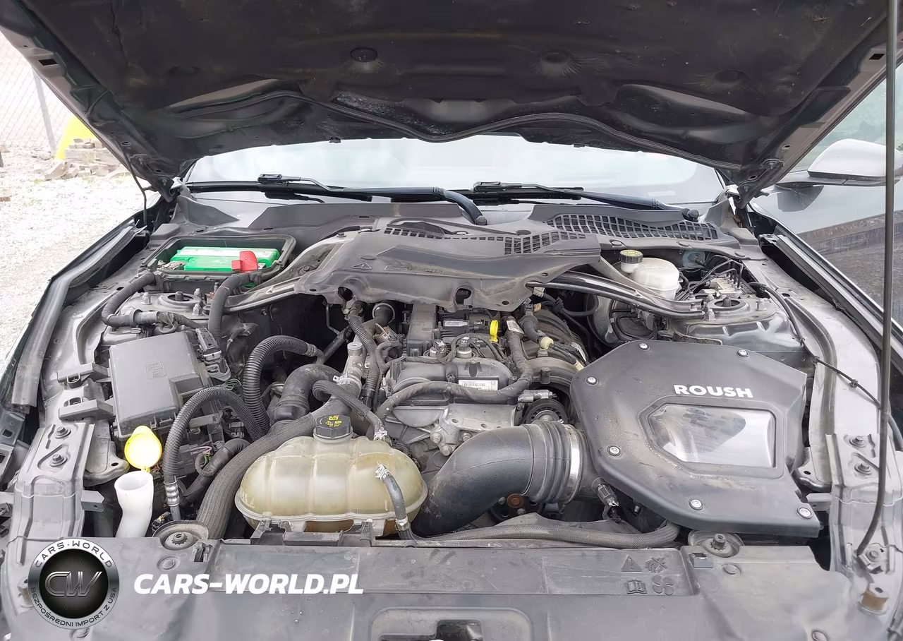 2019 Ford Mustang Ecoboost Premium VIN:1FA6P8TH2K5134073 - 10