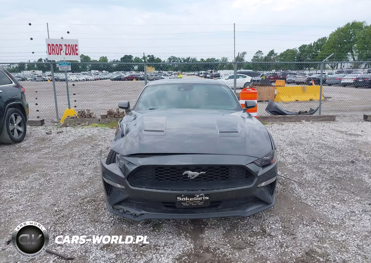 2019 Ford Mustang Ecoboost Premium VIN:1FA6P8TH2K5134073 - 12