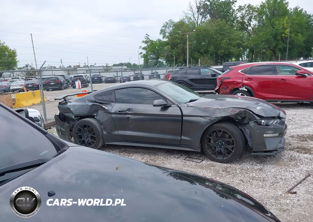2019 Ford Mustang Ecoboost Premium VIN:1FA6P8TH2K5134073 - 13