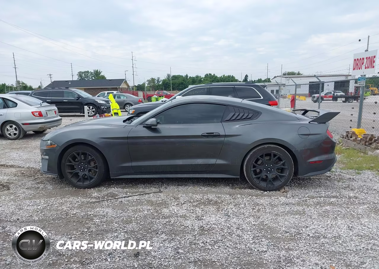 2019 Ford Mustang Ecoboost Premium VIN:1FA6P8TH2K5134073 - 14