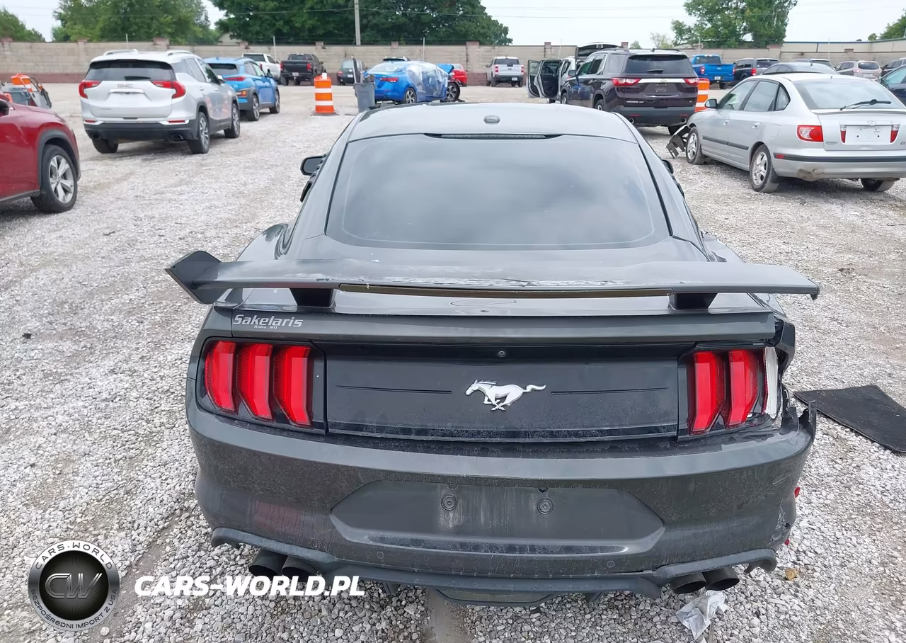 2019 Ford Mustang Ecoboost Premium VIN:1FA6P8TH2K5134073 - 16