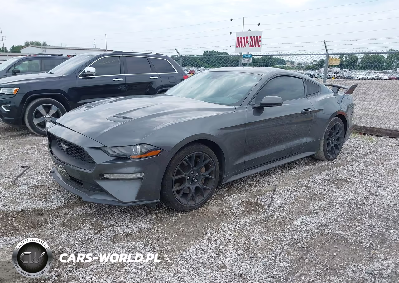 2019 Ford Mustang Ecoboost Premium VIN:1FA6P8TH2K5134073 - 2