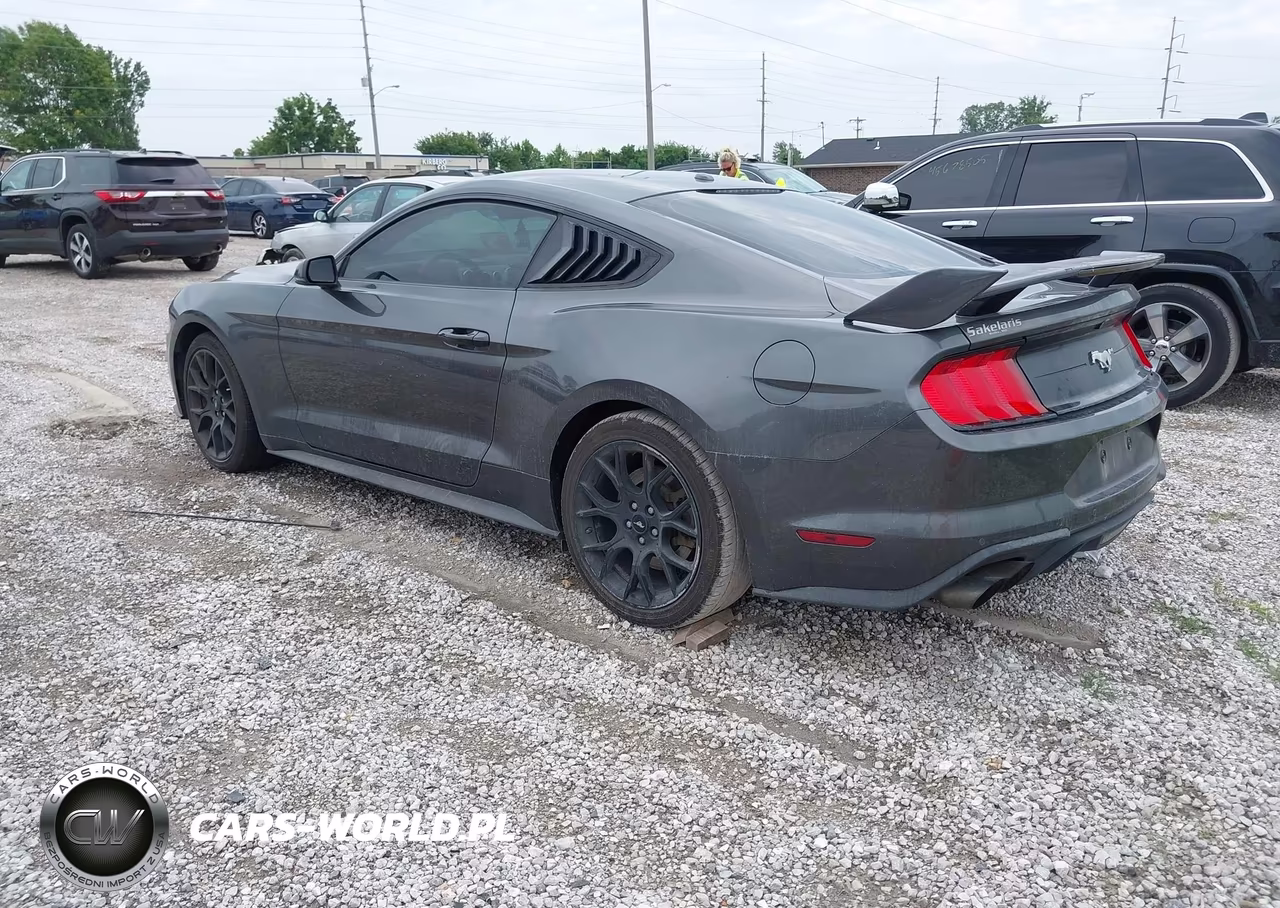 2019 Ford Mustang Ecoboost Premium VIN:1FA6P8TH2K5134073 - 3