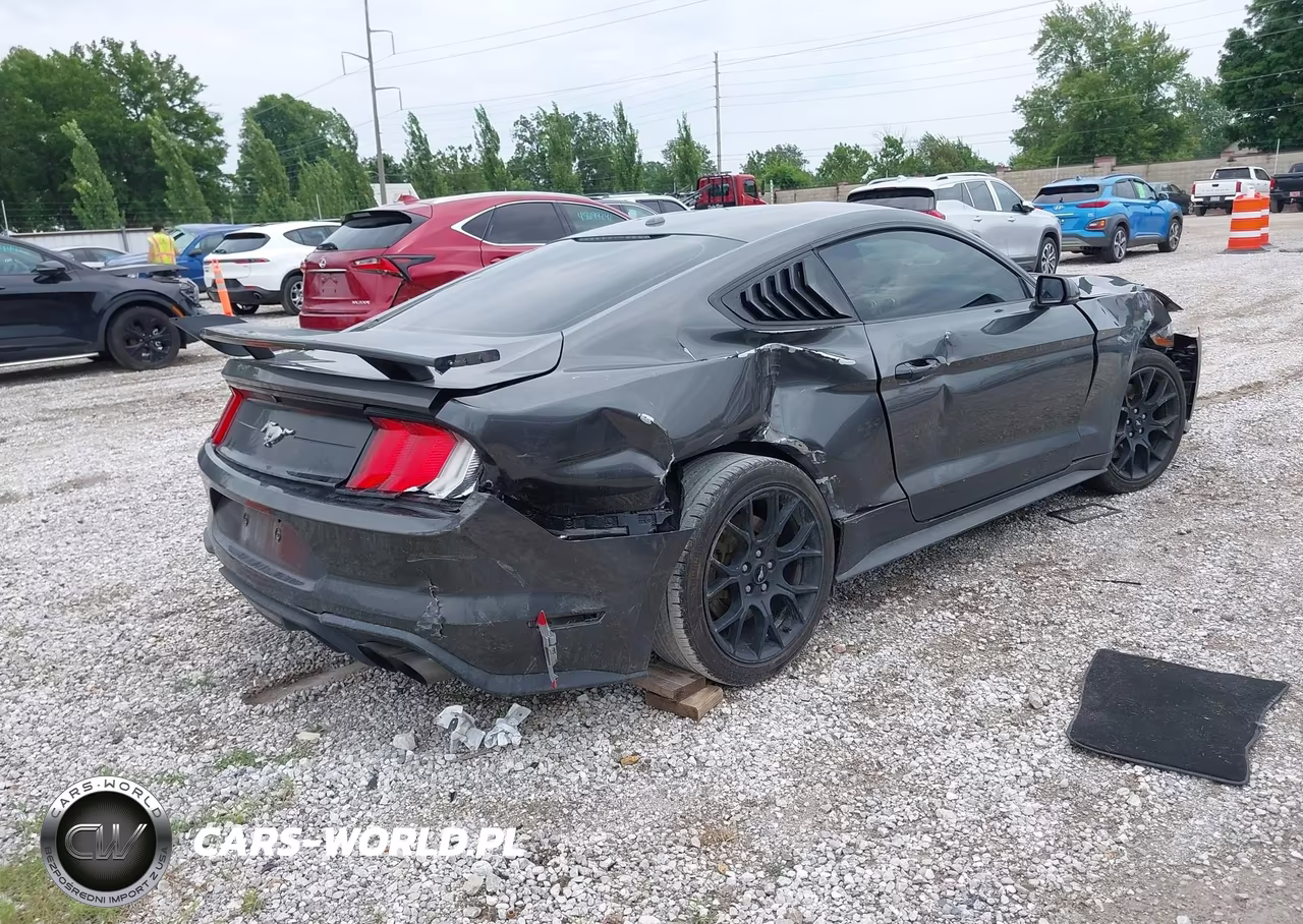 2019 Ford Mustang Ecoboost Premium VIN:1FA6P8TH2K5134073 - 4