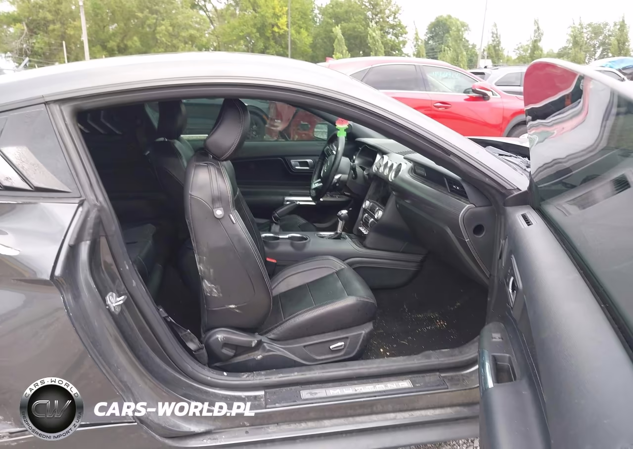 2019 Ford Mustang Ecoboost Premium VIN:1FA6P8TH2K5134073 - 5