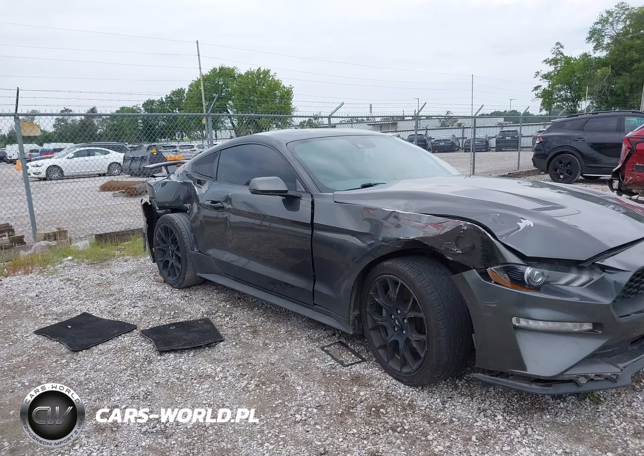 2019 Ford Mustang Ecoboost Premium VIN:1FA6P8TH2K5134073 - 6