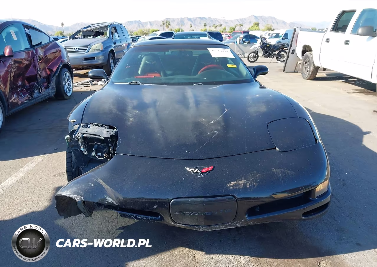 1997 Chevrolet Corvette VIN:1G1YY22G8V5104238 - 12