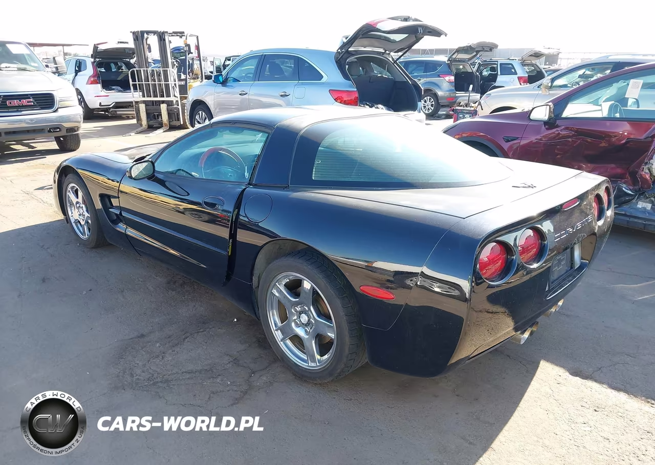 1997 Chevrolet Corvette VIN:1G1YY22G8V5104238 - 3